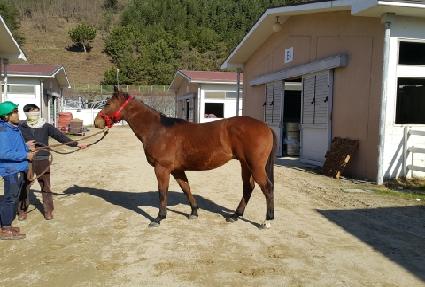 ���׿� ����