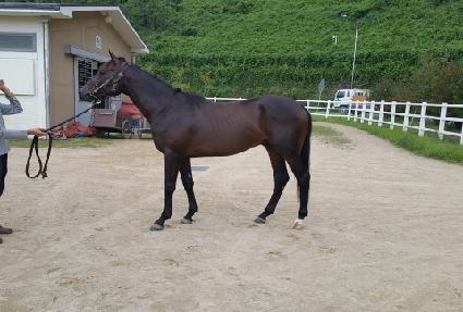 ���念���� ����