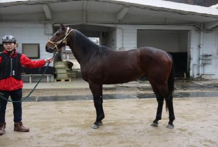 ������� ����