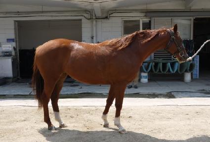 ������ ����