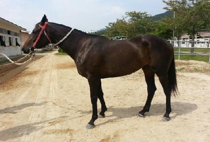 �ֿ����� ����