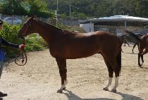 ���۹и��� (ONEPERMILLION) ����