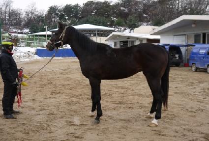 ����ν�ȭ ����