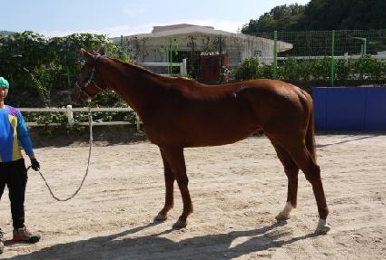 �ĸ��ٶ� ����