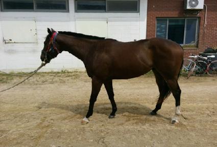 �������̵� ����