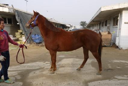 ����Ʈ ����