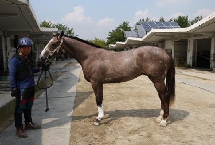 ������� ����