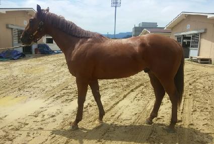 ���̽��Ŀ� ����