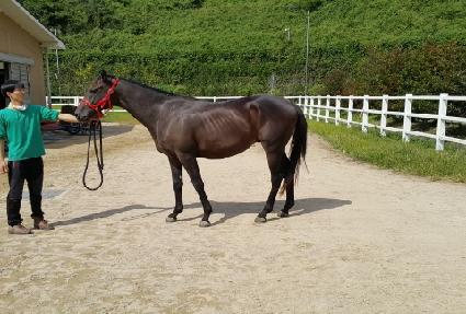 �����Ŀ� ����