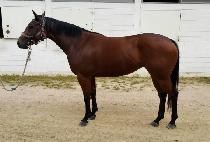 �������� (RAPA CHUKJE) ����