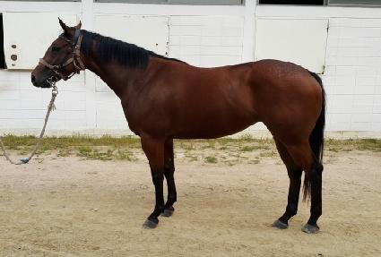 �������� ����