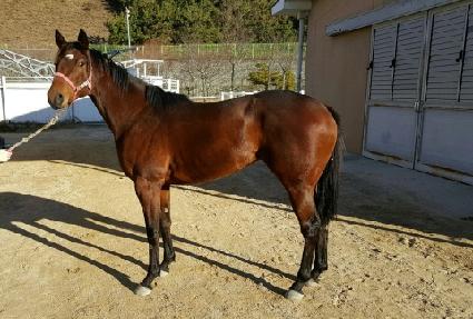 ������ ����