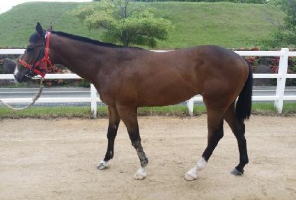 ����è�Ǿ� ����