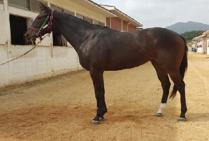 ���̺��� ����