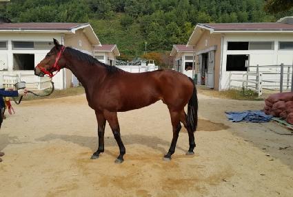 �ŵ��Ŀ� ����