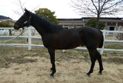 ������Ÿ ����