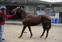 ������ (HAEJEOKSEON) ����