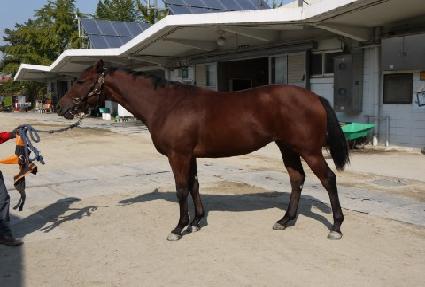 ����屺 ����