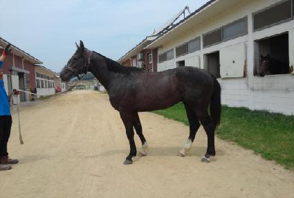 ����屺 ����