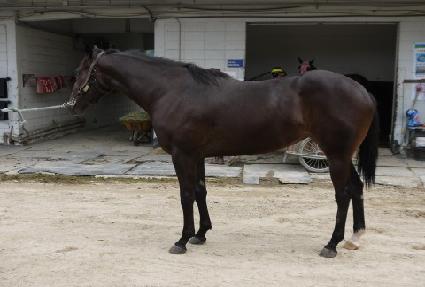 ��Ű���� ����