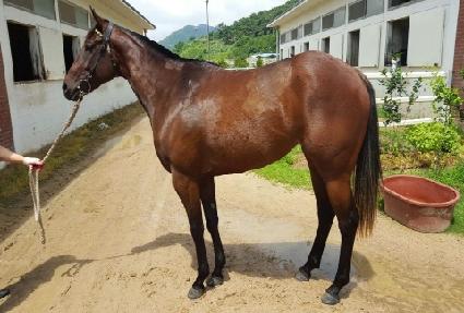 ȭ�����̽� ����