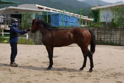 �ʷϿ��� ����