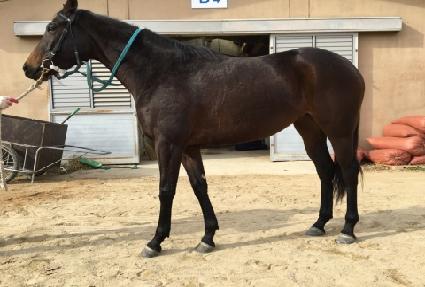 �սý� ����