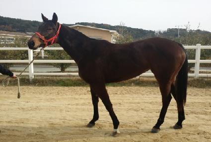 ���� ����