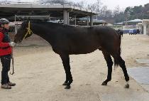 �����̺���ũ (PRIVATE PARK) ����