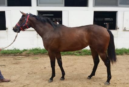 ���Ϻ�Ʈ ����