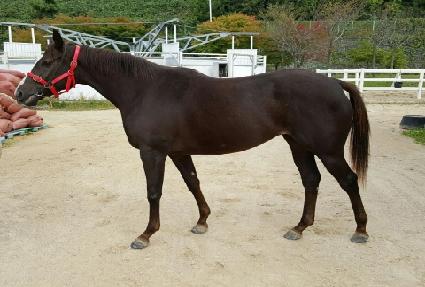 �뽺Ÿ ����