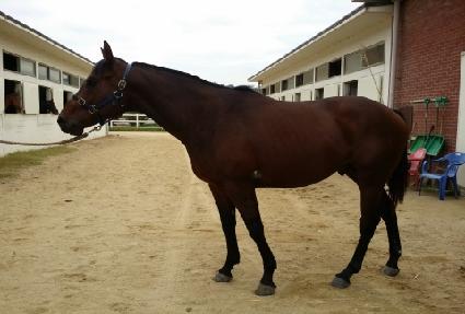 �ε��ġ�� ����