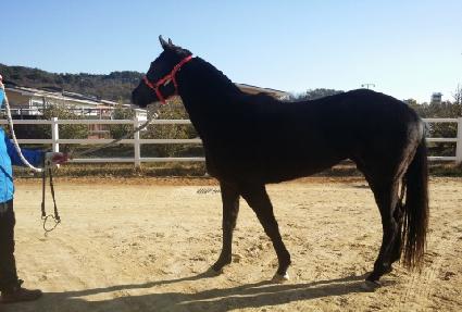 �̽�ĵ���� ����