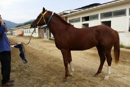 ���������� ����