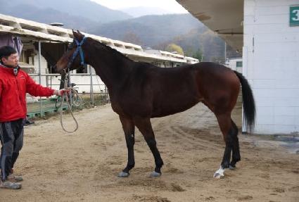 ���� ����