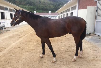 ����Ʈ�뷯 ����