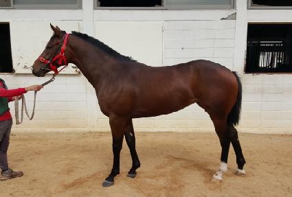 �Ÿ��� ����