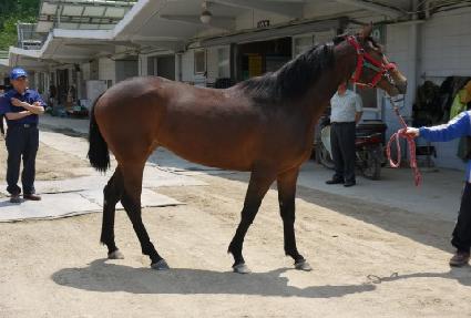 ���۷ο� ����