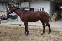 �ʿ������� (CHOWONUI CHANGA) ����