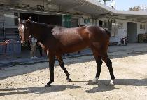 �����̸��̼� (ENJOY MY SHOW) ����