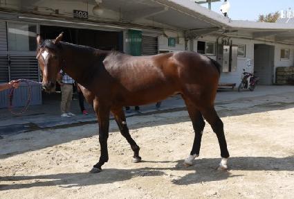 �����̸��̼� ����