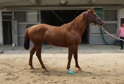 �뺸���� ����