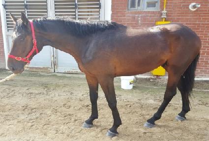 �ʽ´�� ����