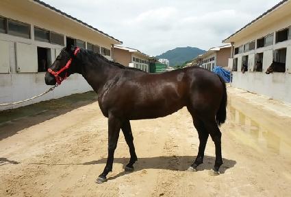 ���ױ渮 ����