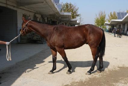 Ÿ�̰� ����