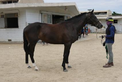 â������ ����