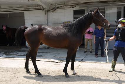 �䵿���� ����