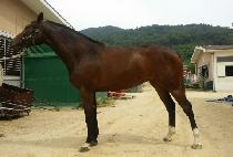 ����Ӹ��� (RAON PALACE) ����