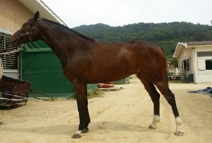 ����Ӹ��� ����