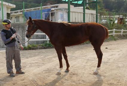 ����Ŭ�� ����